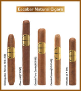 Cigare Roméo Distinguidos Naturels (Boîte de 25)