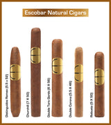 Cigare Robusto Naturel